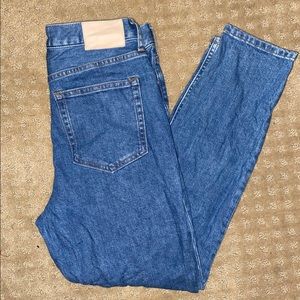 Everlane High Rise Skinny Jeans, Ankle Length